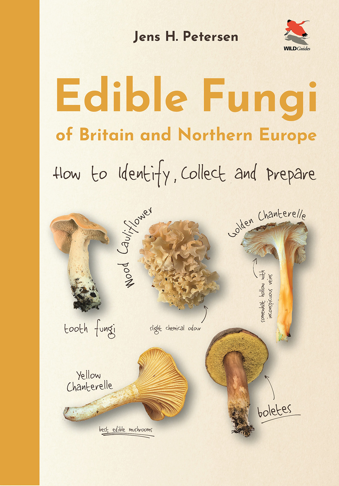 Book cover of Petersen's Edible Fungi