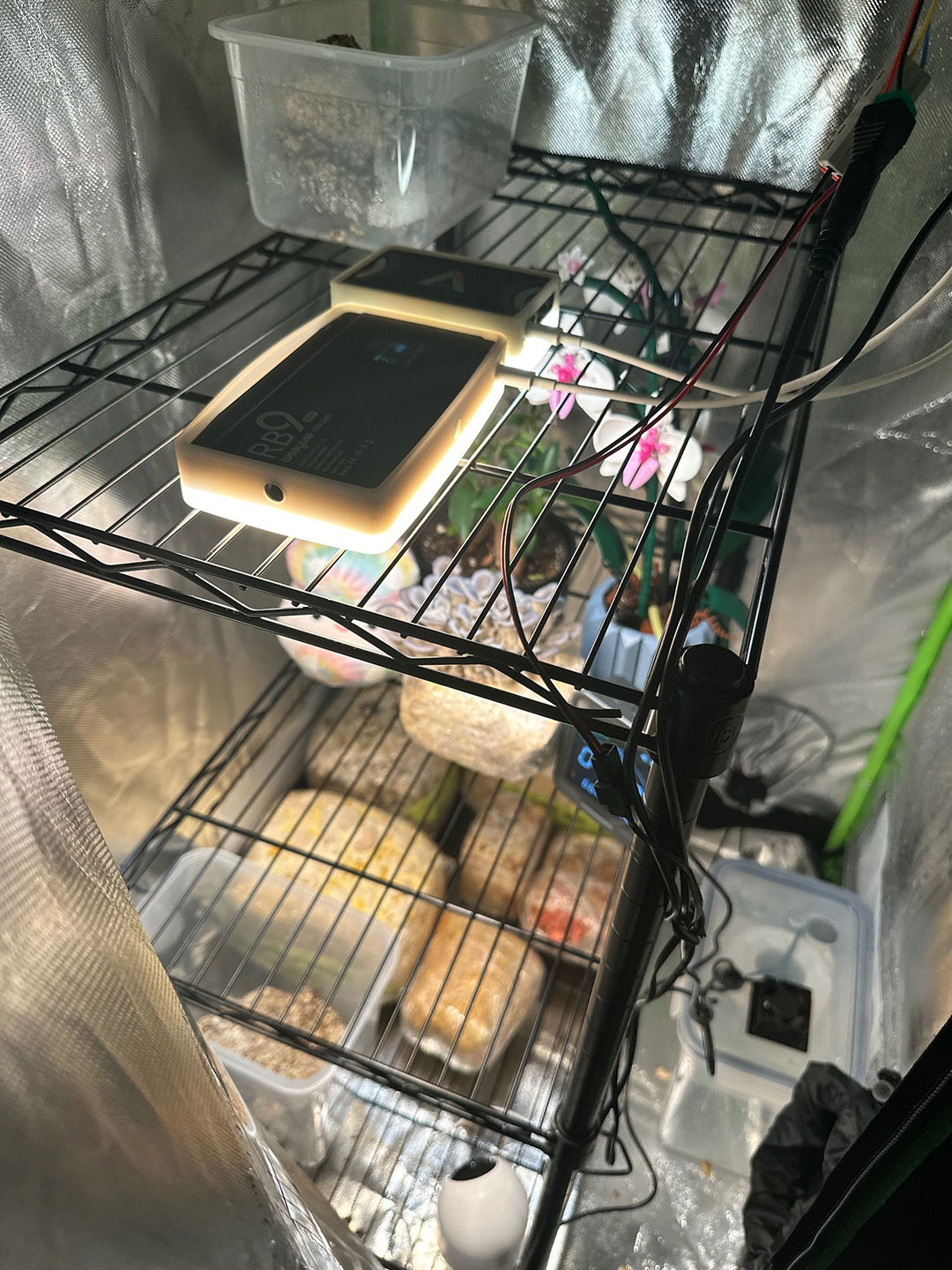 Metal wire shelving unit with grow blocks inside a tent