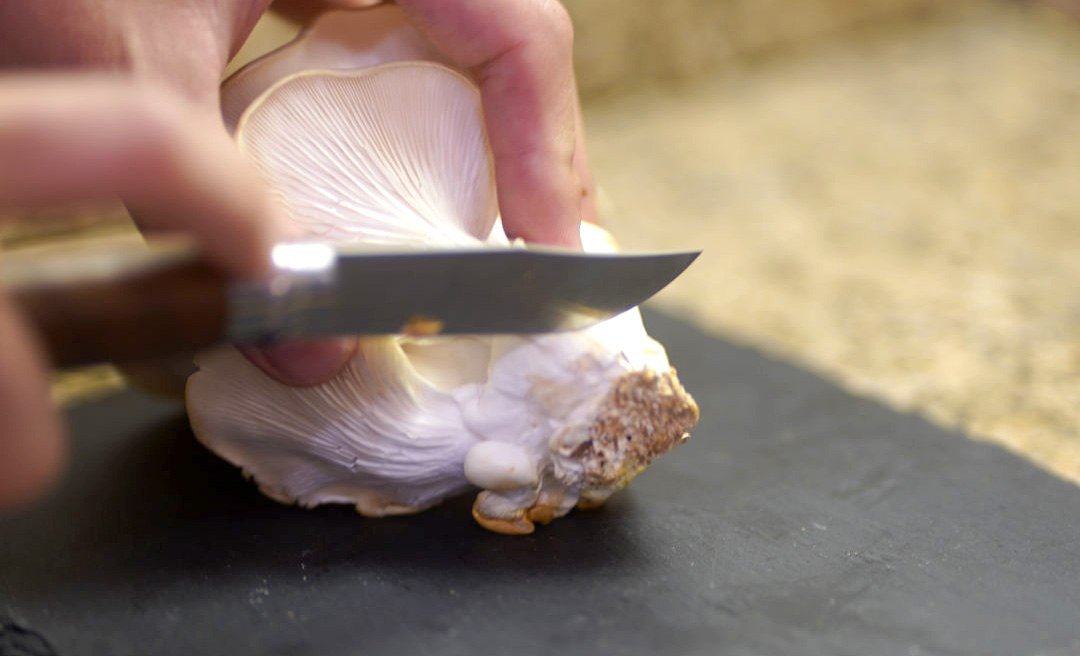 Removing Oyster Stems